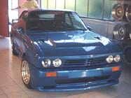 Doppelscheiwerfergrill LT025